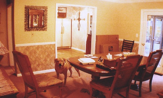 Interior - The Old Shall Pass Away